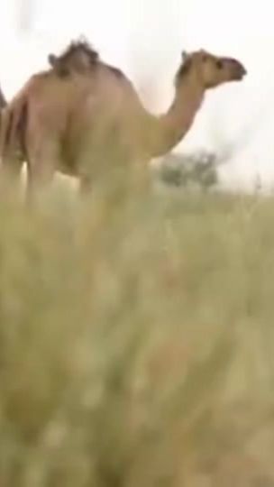 TikTok video thumbnail by m.boos..com