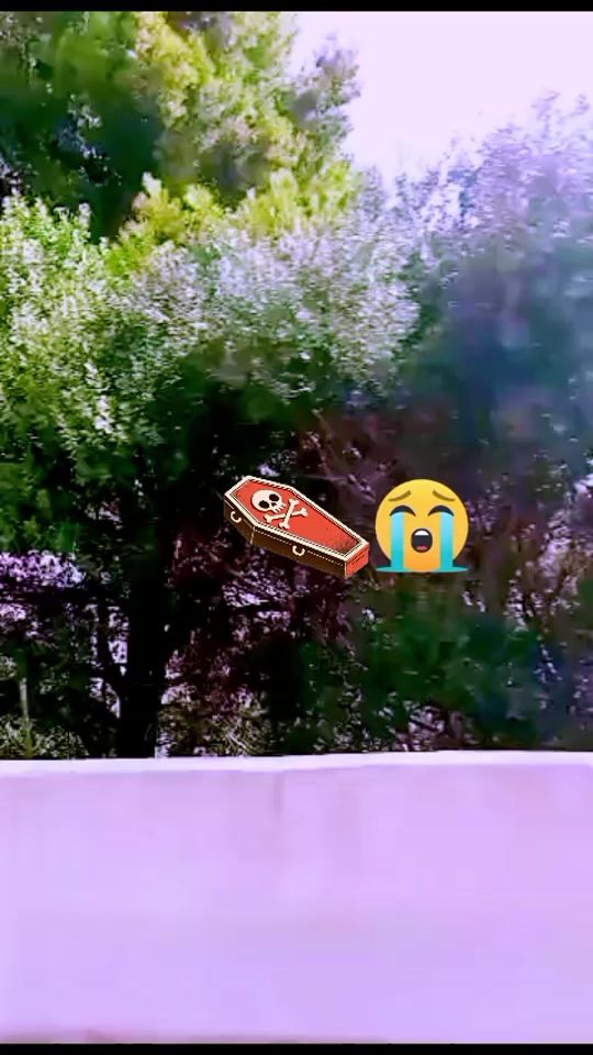 TikTok video thumbnail by atr_134