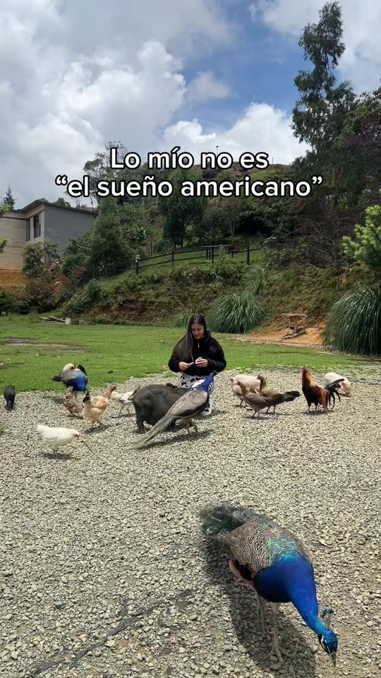 TikTok video thumbnail by val.vett