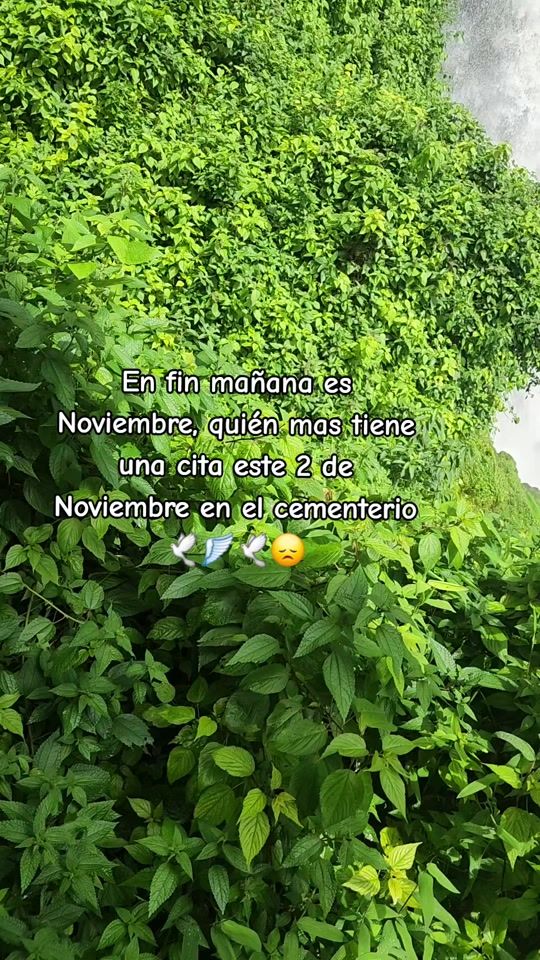 TikTok video thumbnail by luis.pujota.p
