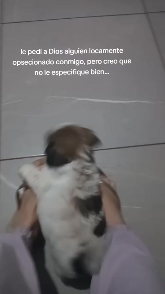 TikTok video thumbnail by perlita.gonza