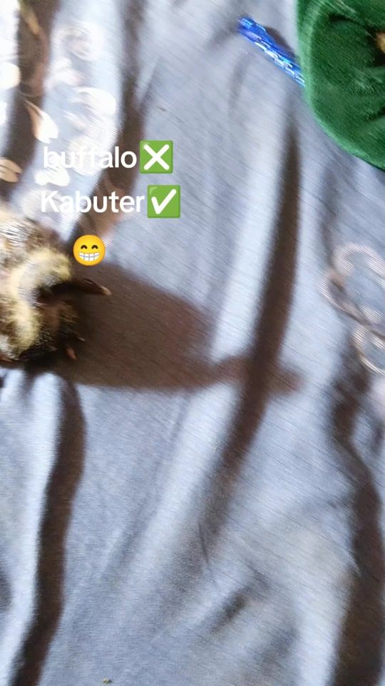 TikTok video thumbnail by abhiableshff