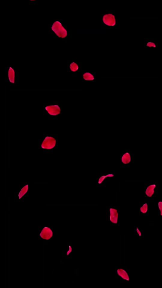 TikTok video thumbnail by ishqmurshid..........804
