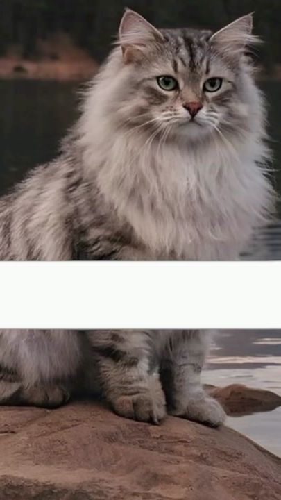 TikTok video thumbnail by ahmi_aesthetic