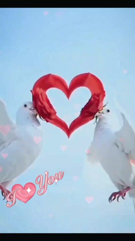 TikTok video thumbnail by a_b_a_s_0_05