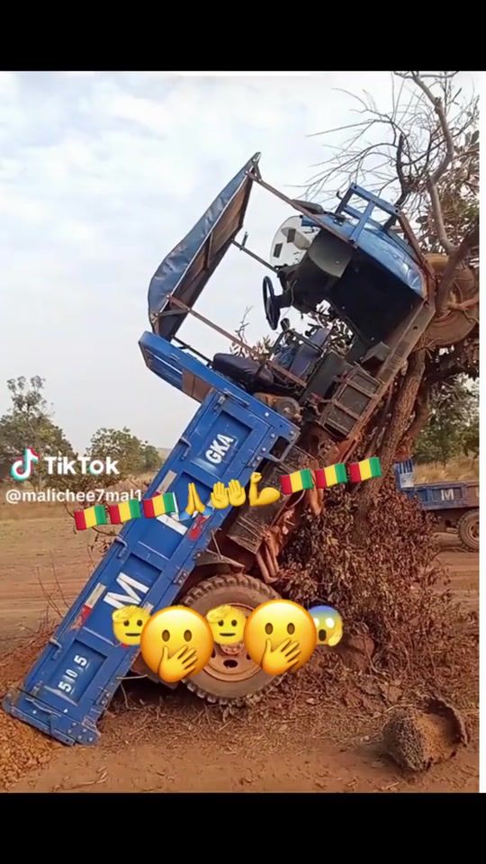 TikTok video thumbnail by papaib48