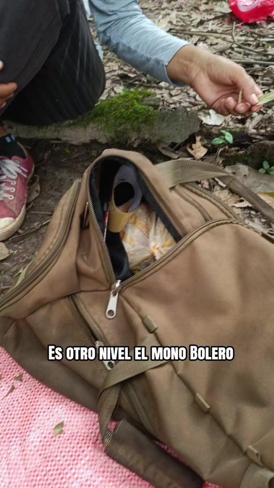 TikTok video thumbnail by del_chapare
