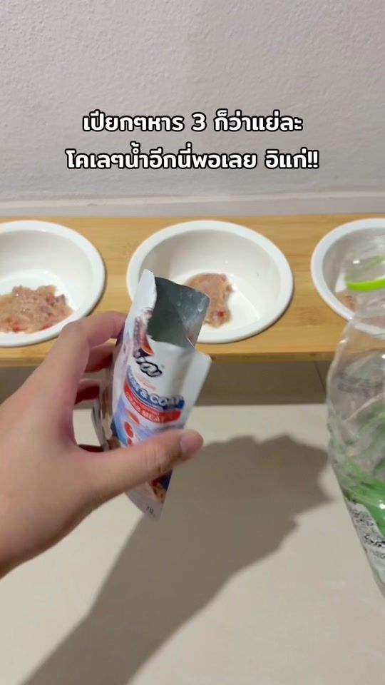 TikTok video thumbnail by chamonn.o_o