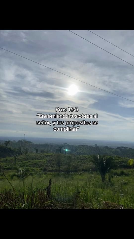 TikTok video thumbnail by amner.r
