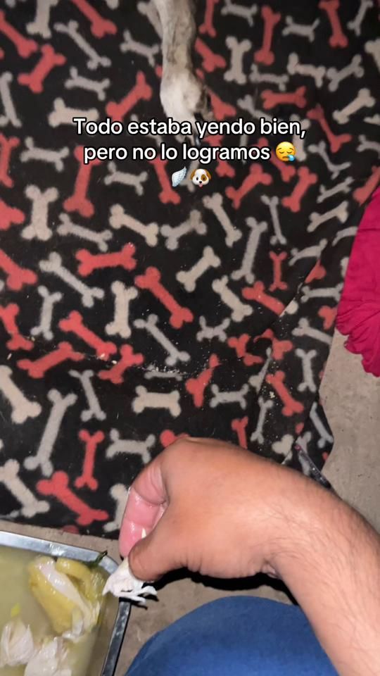 TikTok video thumbnail by jorgmen