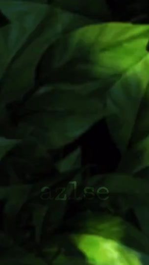 TikTok video thumbnail by az2se_