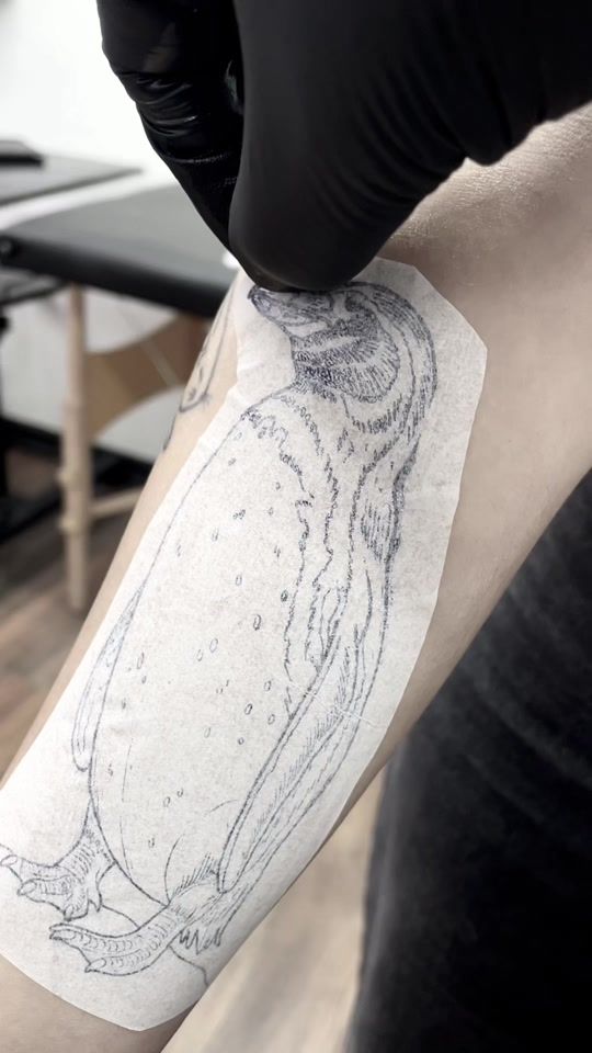 TikTok video thumbnail by muzeumtattoo