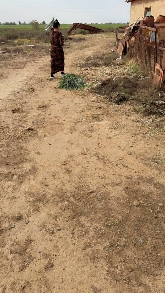 TikTok video thumbnail by feride_tek_