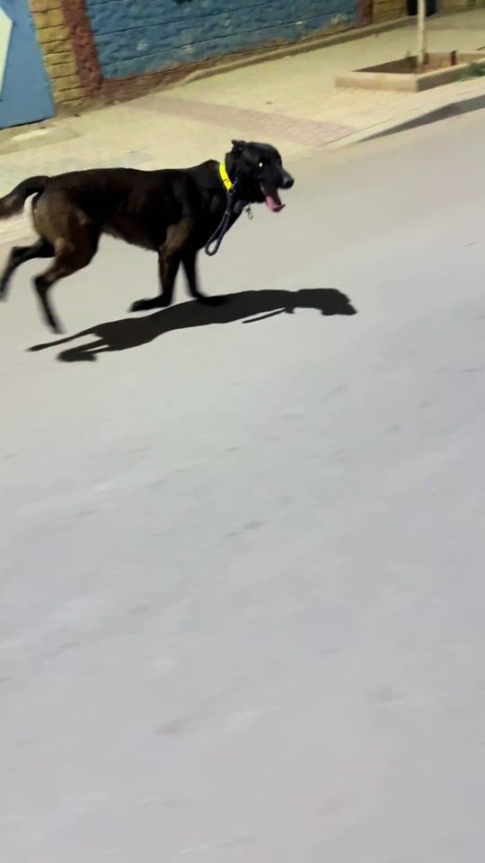 TikTok video thumbnail by amineoa50