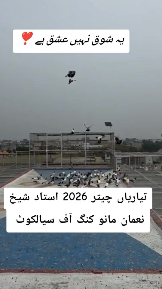 TikTok video thumbnail by jatt.sab7225