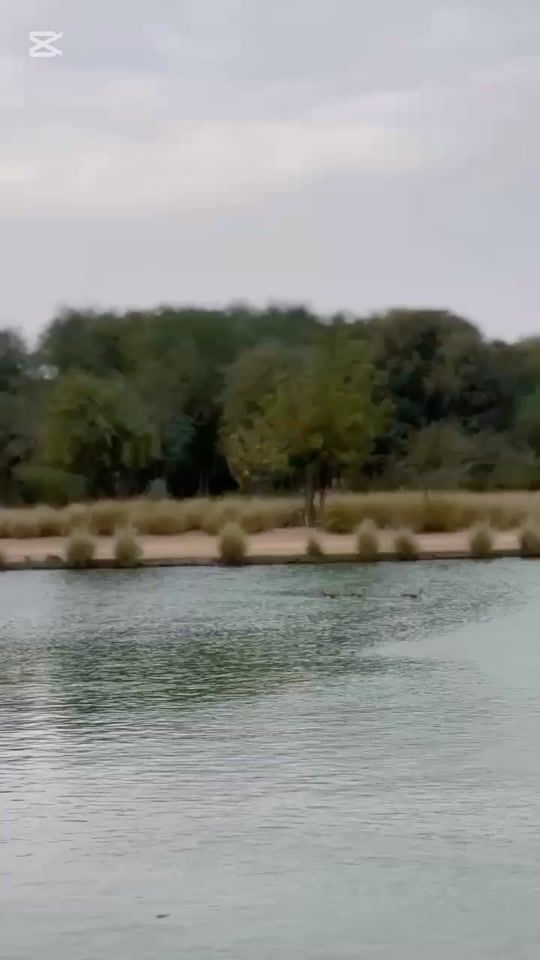 TikTok video thumbnail by rahmatullah135