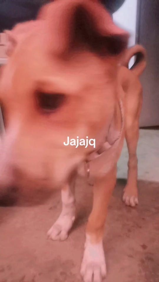 TikTok video thumbnail by anyelith.vallejo