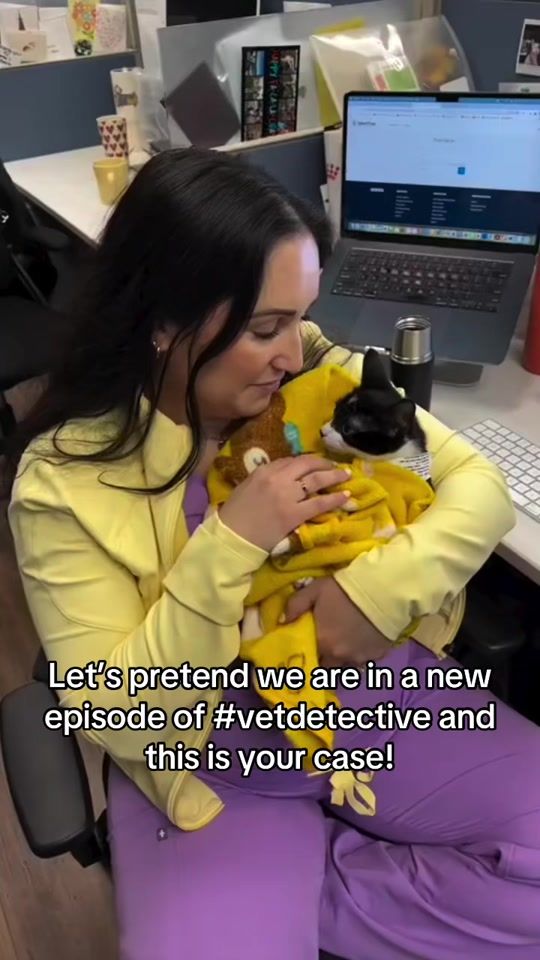 TikTok video thumbnail by the_tinyvet