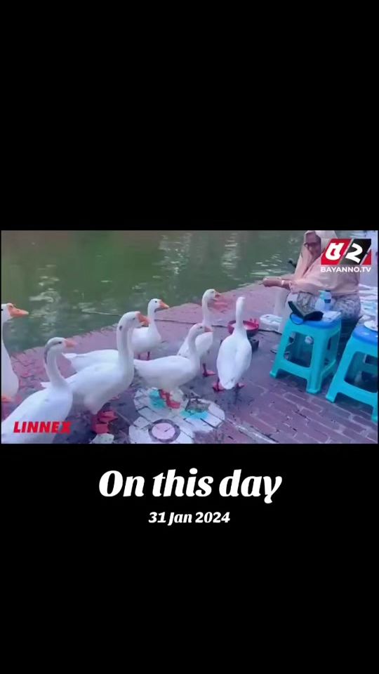 TikTok video thumbnail by tarakjoyhero