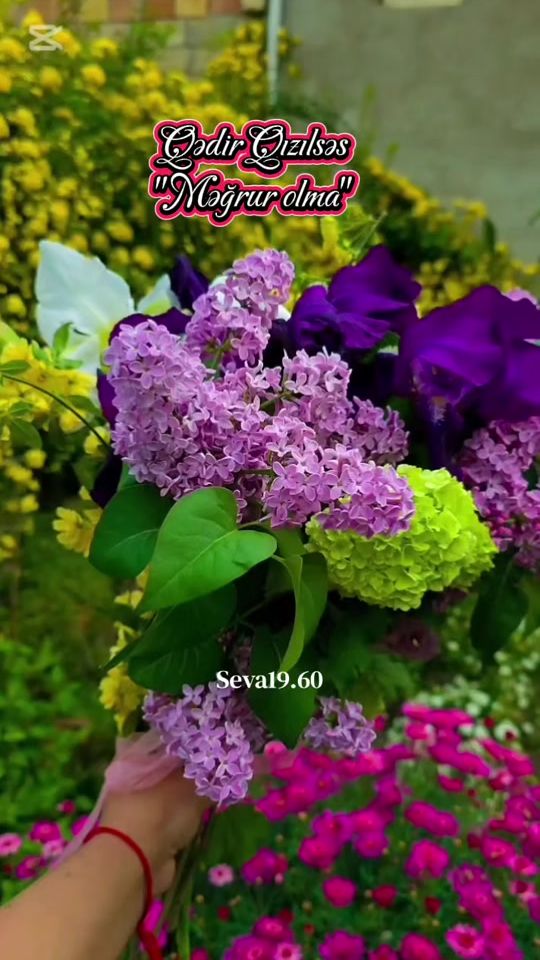 TikTok video thumbnail by seva19.60