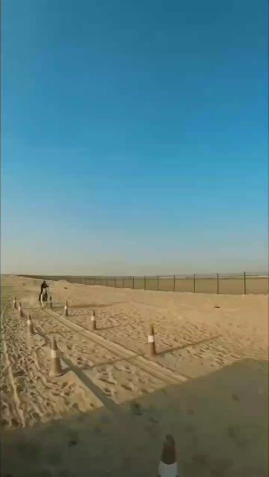TikTok video thumbnail by ._014382