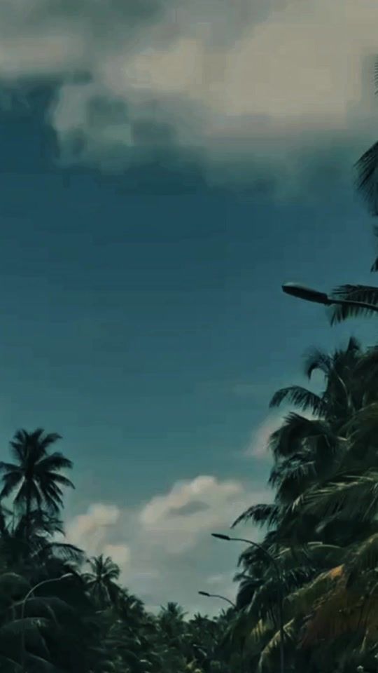 TikTok video thumbnail by dhaadhmv