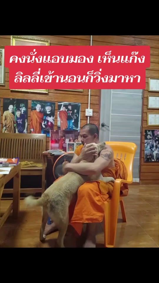 TikTok video thumbnail by sakon9158