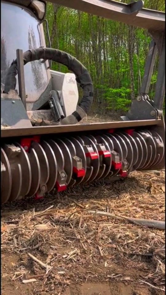 TikTok video thumbnail by baomei88888