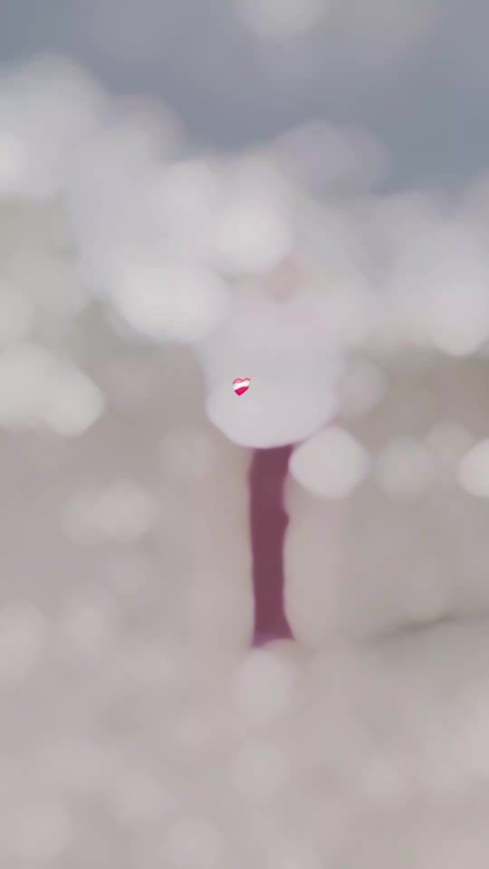 TikTok video thumbnail by martharios.10
