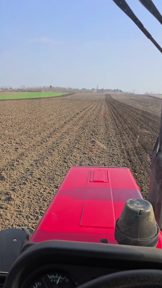 TikTok video thumbnail by norbi6280