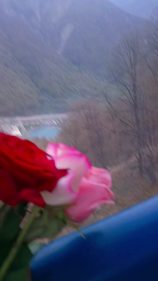 TikTok video thumbnail by wems3
