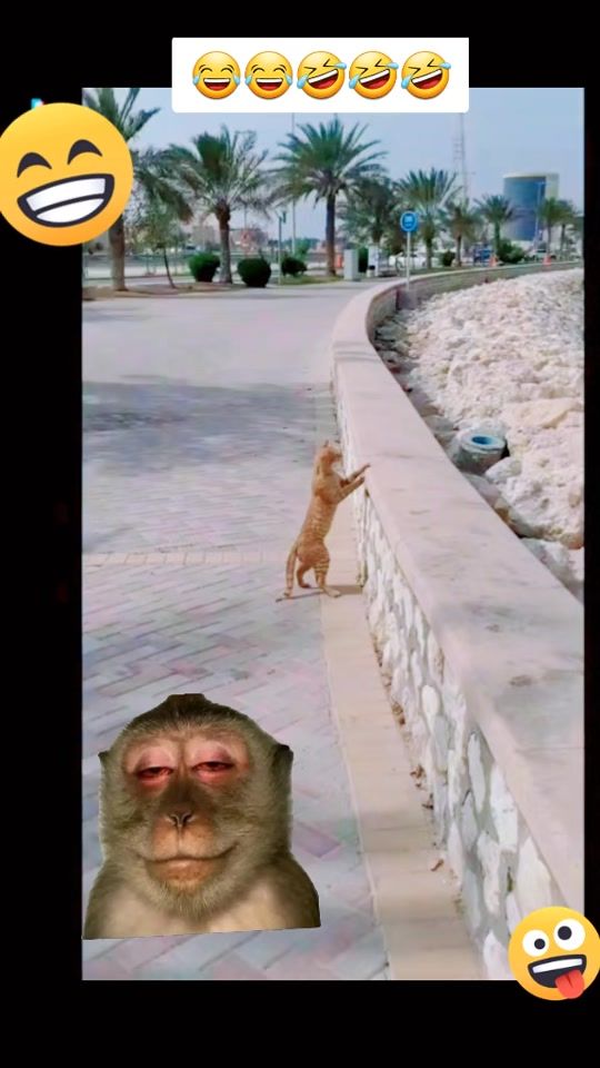 TikTok video thumbnail by just_kidy1