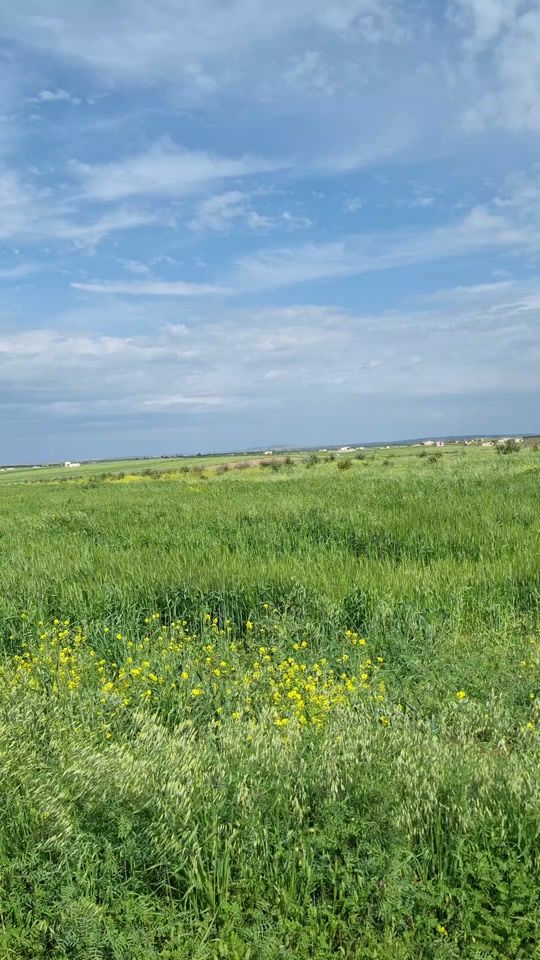 TikTok video thumbnail by jarablus_press
