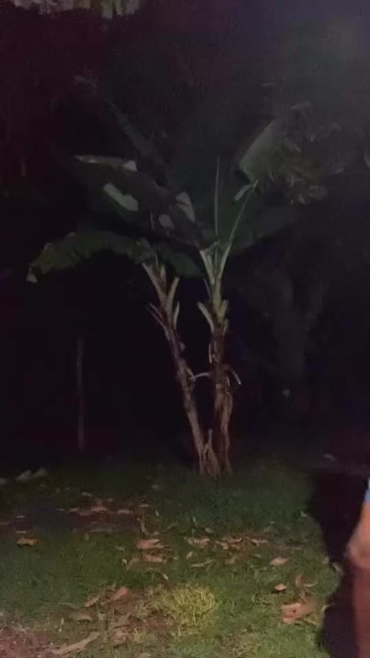 TikTok video thumbnail by jaimebien179