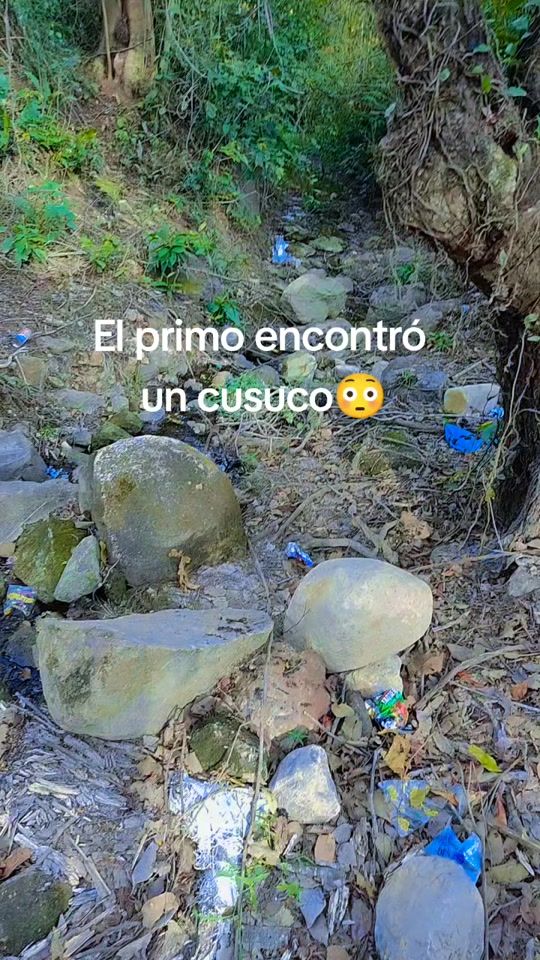 TikTok video thumbnail by lopez504chamakito.da