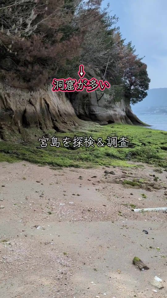 TikTok video thumbnail by rina.hide.yoshi