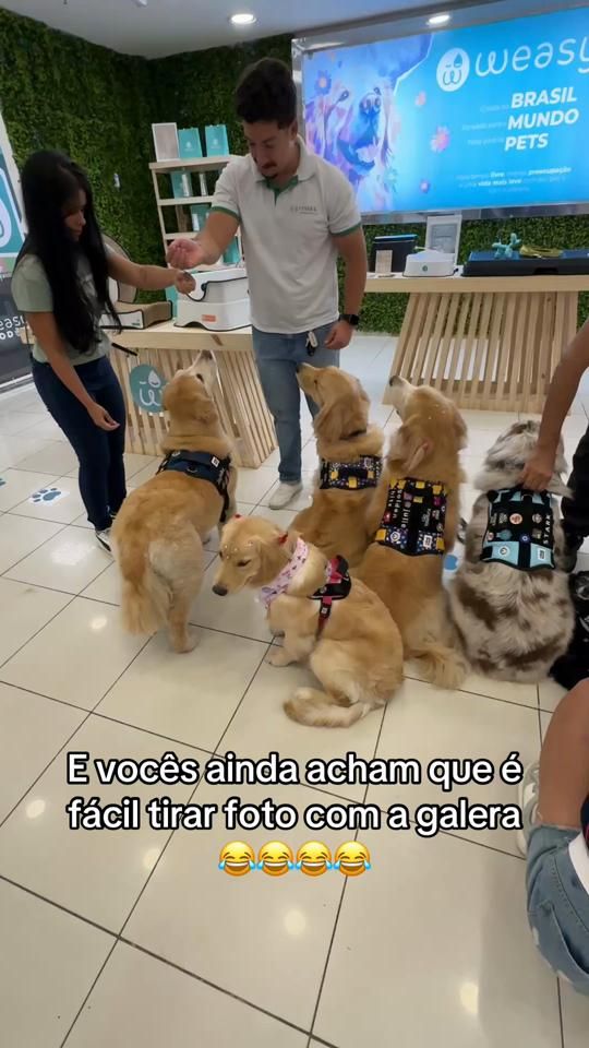 TikTok video thumbnail by juliegoldenhits