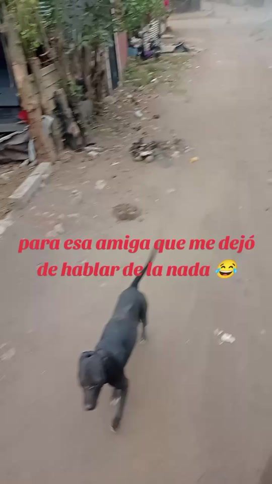 TikTok video thumbnail by cokes1412