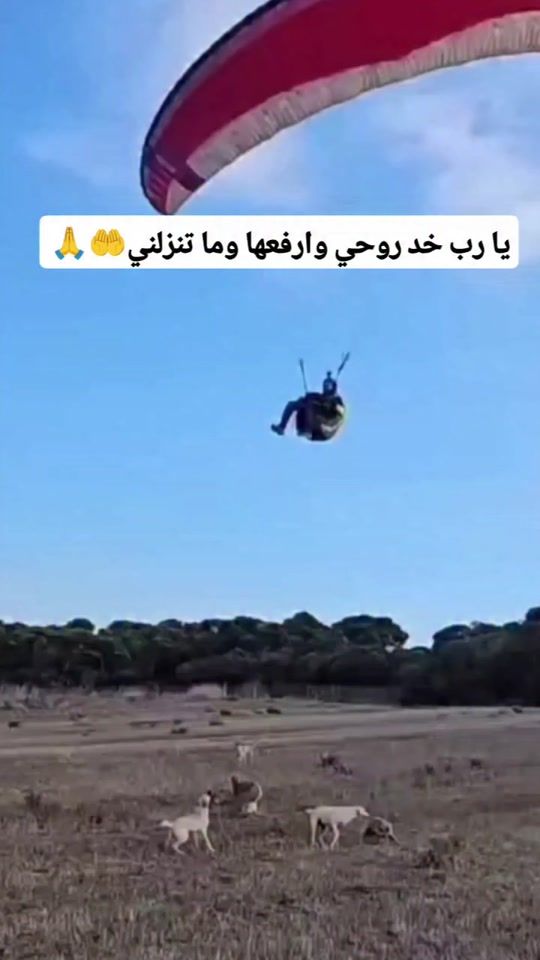 TikTok video thumbnail by nasser1967