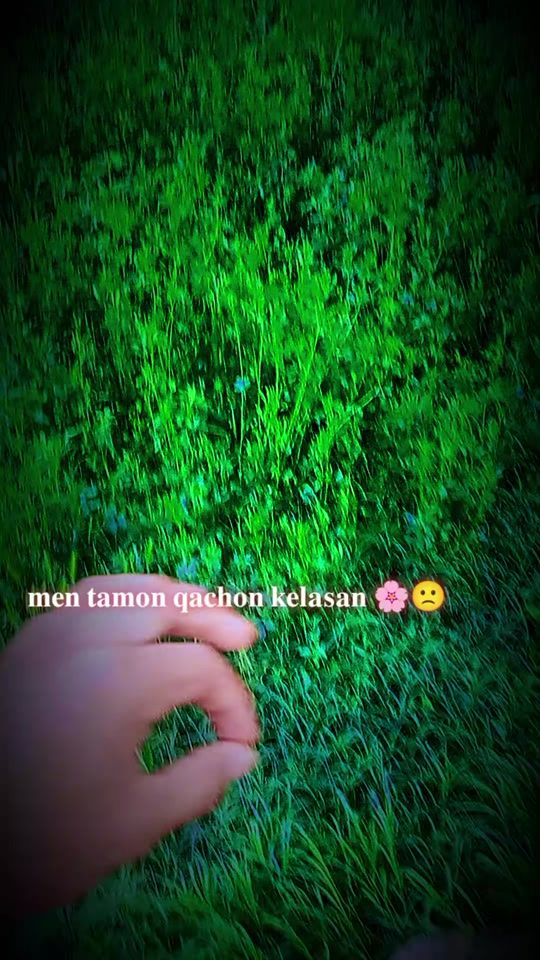 TikTok video thumbnail by azizbek_abdulloev_08