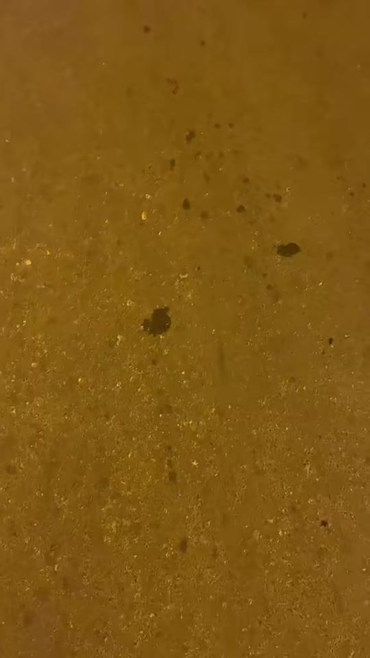 TikTok video thumbnail by .max1997.0