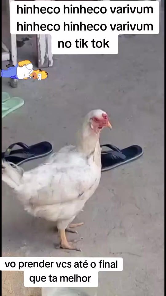 TikTok video thumbnail by stylucomedia