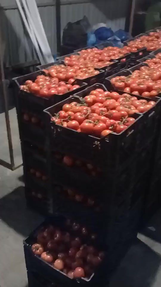 TikTok video thumbnail by berati_150