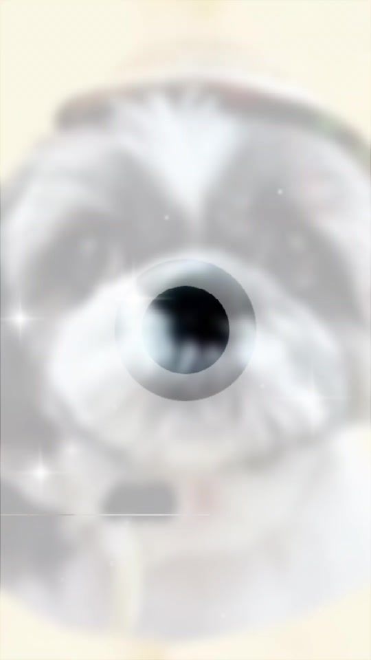 TikTok video thumbnail by userfwmur9sume