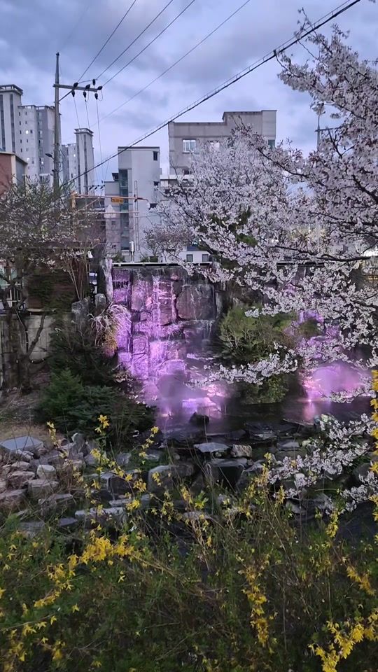 TikTok video thumbnail by user3103505778305