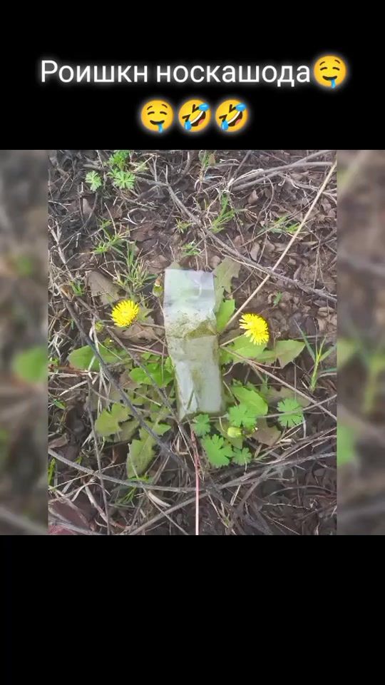 TikTok video thumbnail by cabr106