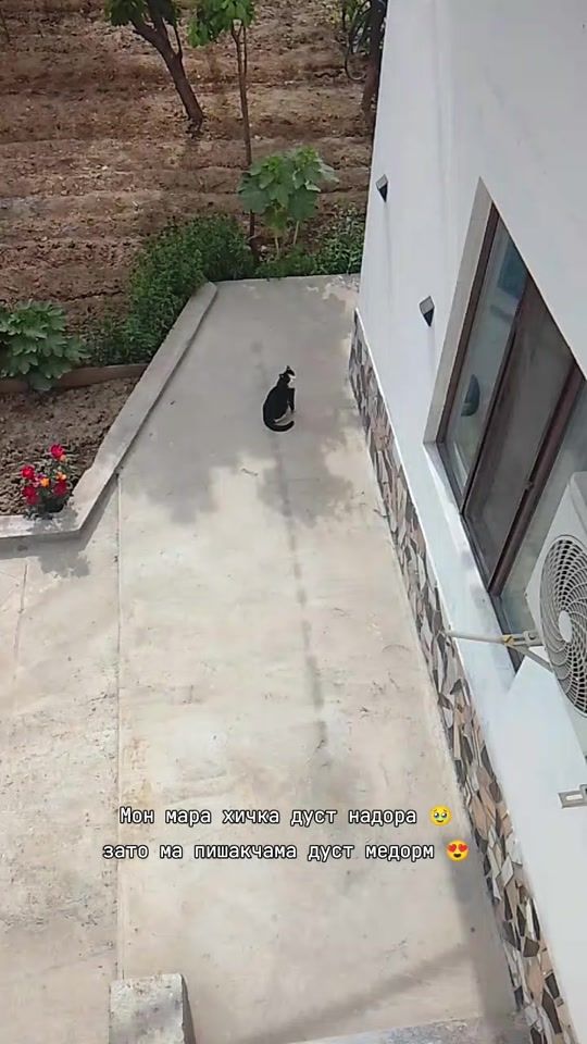 TikTok video thumbnail by mohitanho