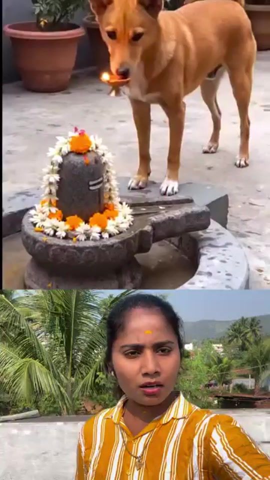 TikTok video thumbnail by nilavan.3