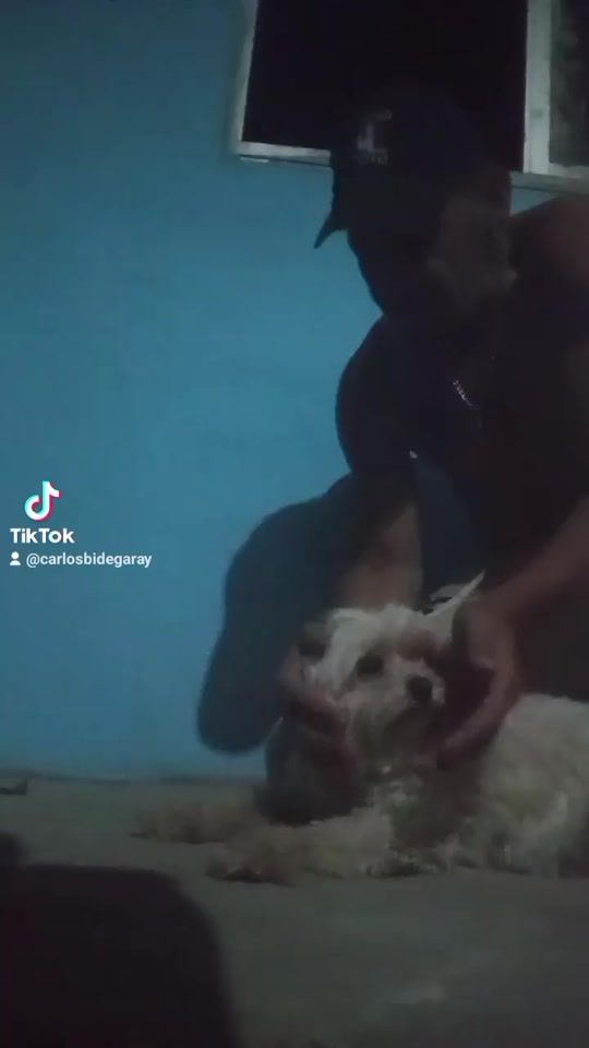 TikTok video thumbnail by carlosbidegaray