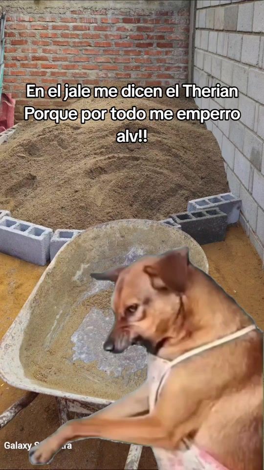 TikTok video thumbnail by antoniofonseca590